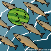 Digital drawing of Collins Melon looking perturbed as they are carried along a current with several salmon.