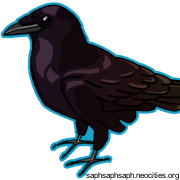 Digital drawing of a raven in profile.